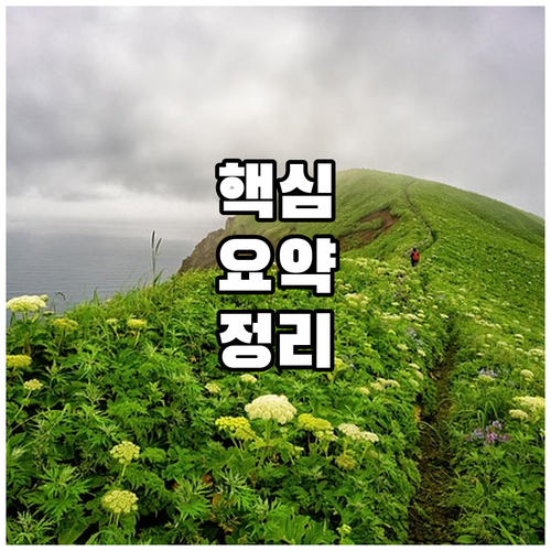 자동차 보증기간 완벽 가이드: 확인부