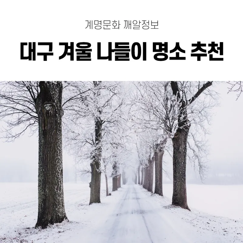 대구 겨울 가볼만한곳을 상세히 알아보기 여행 자료집_2