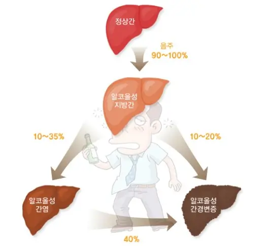 감마지티피 정상수치