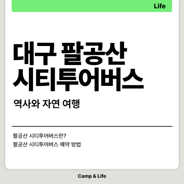 팔공산 시티투어버스