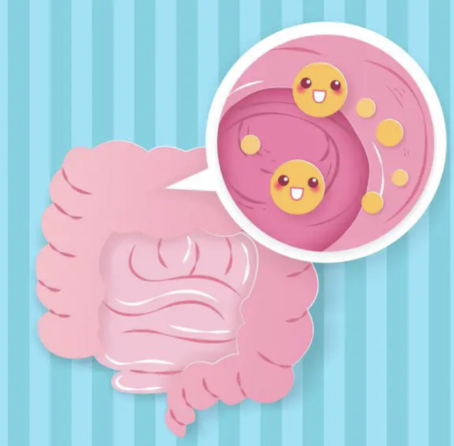 대장암 환자들이 말하는 ‘절대 하면 안 될 일상 습관 5가지’, 지금 바꿔야 3년 후 장 건강!