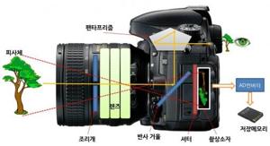 디지털 사진 현상