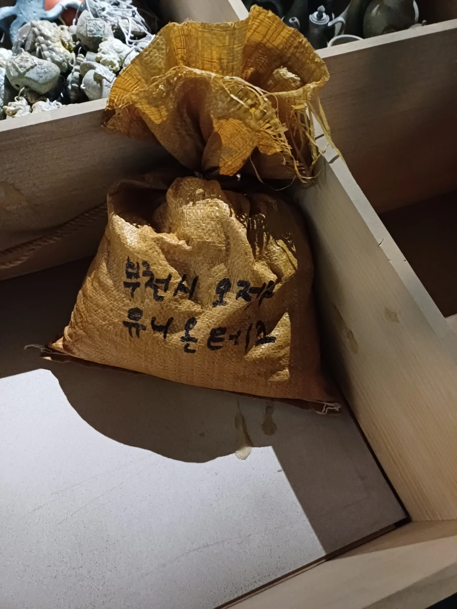 푸꾸옥 북부 아이와 가볼 만한 곳, 푸꾸옥 테디베어 박물관 방문 후기