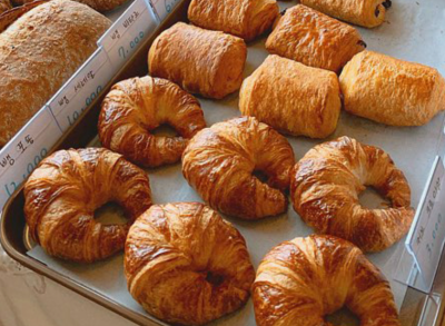 베어트리파크 단풍축제 기간 입장료 할인받기