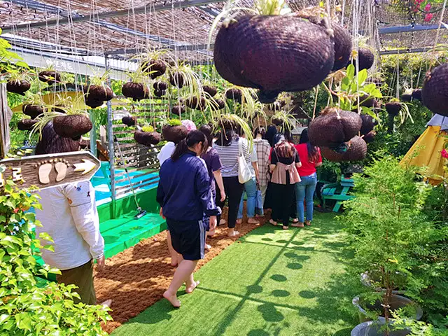 생방송오늘저녁 통영 편백남 숲 속 힐링 맨발 체험 여행 가볼만한 곳 추천