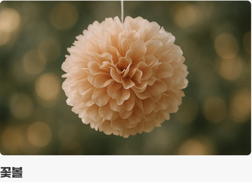 시들지 않는 아름다움, 카네이션 & 꽃볼