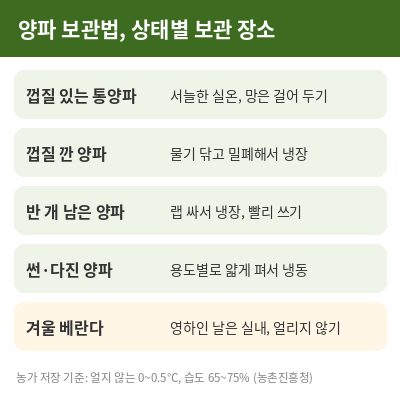 양파 보관법 상태별 보관 장소 표