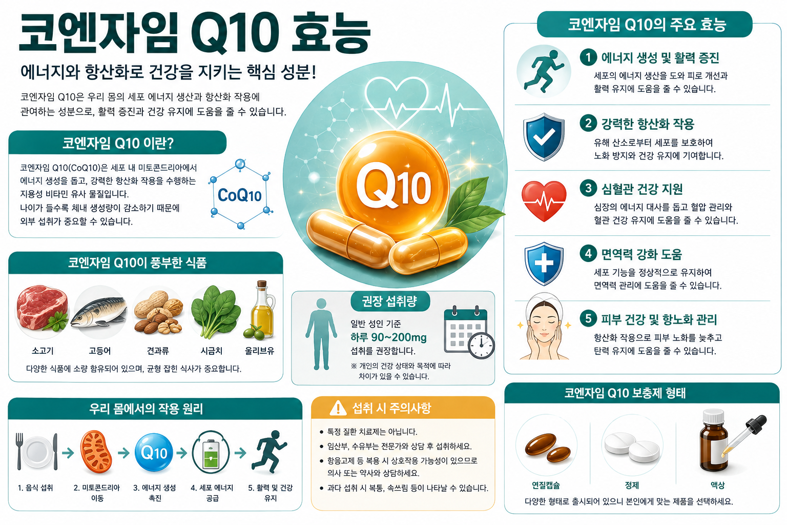 코엔자임 관련 자료