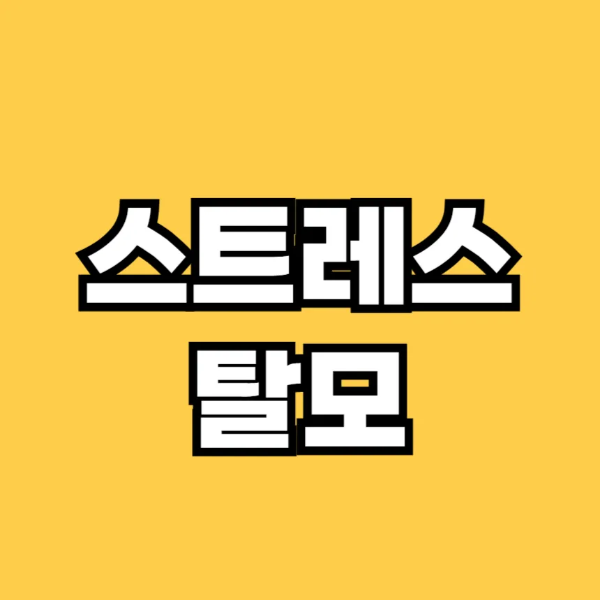 스트레스 탈모