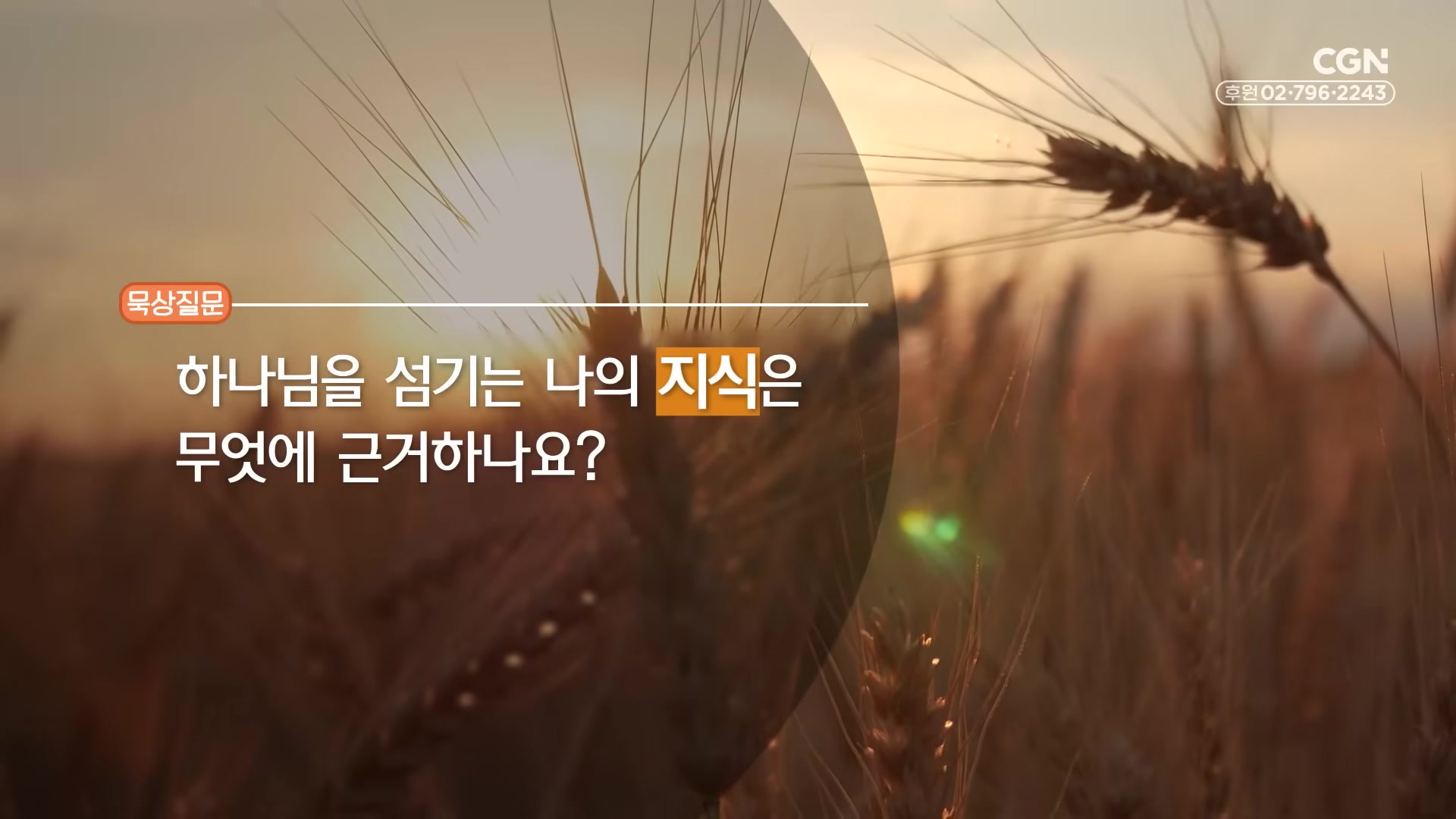 하나님을 섬기는 나의 지식은 무엇에 근거하나요?