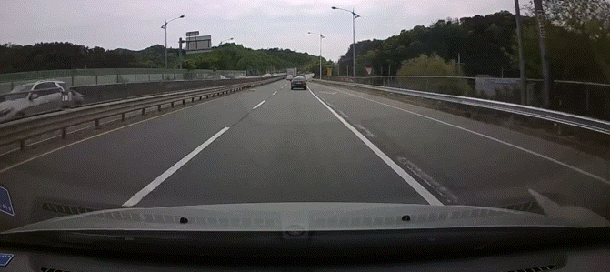 목숨걸고 가족을 지키는 강아지