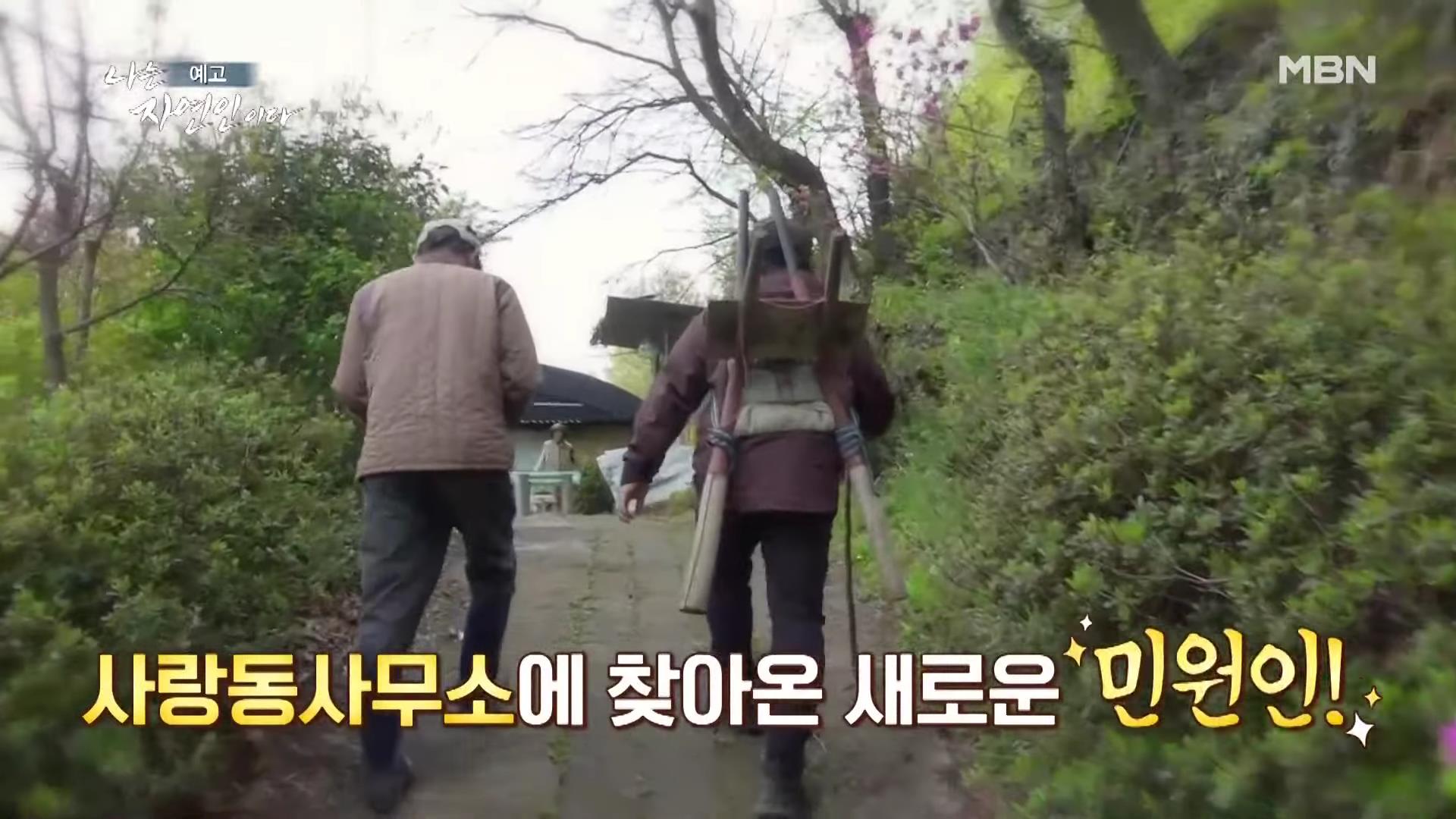 나는 자연인이다 42년 공무원 출신 산야초 대통밥 봄 나물 전 행복산 사랑동사무소 자연인 강이규 소개 및 이승윤 출연 552회 다시보기