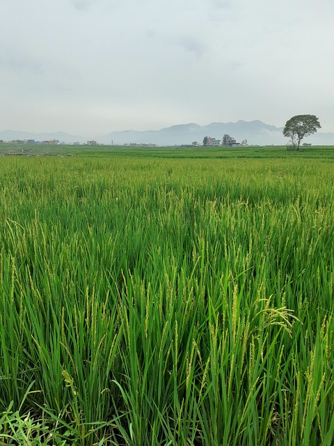 2025년 공익직불금 신청 방법