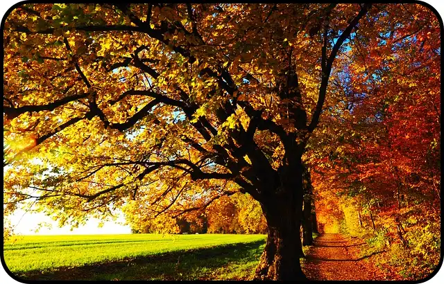 ๋ด์ฅ์ฐ ๋ฑ์ฐ์ฝ์ค ์ถ์ฒ(+ ๋ฑ์ฐ์ง๋ )