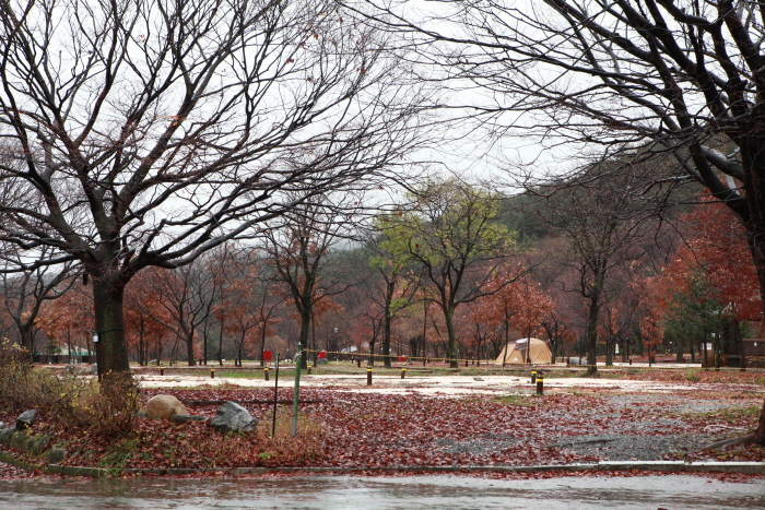 설악동자동차야영장