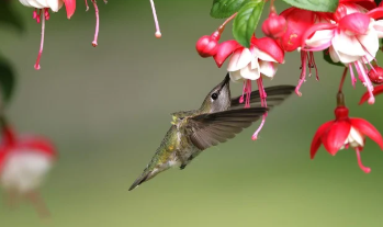 아파트 실거래가 조회 바로 가기 15