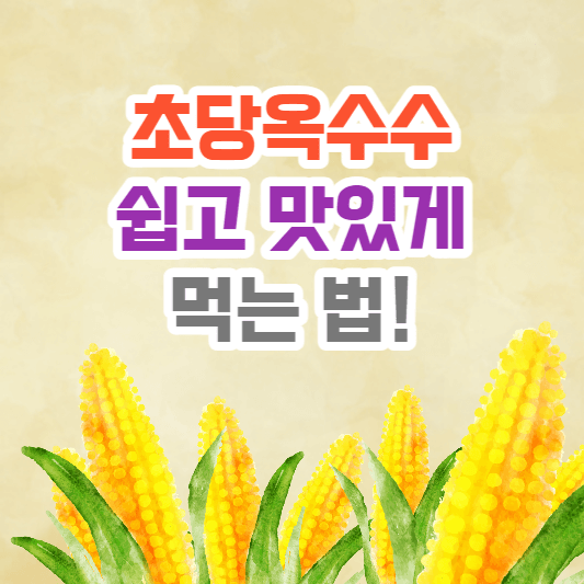 초당옥수수 삶는법