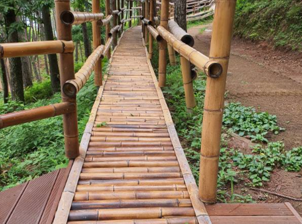 거제 맹종죽테마공원