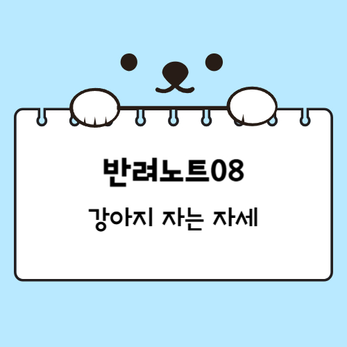 강아지 자는 자세로 보는 반려견 성격