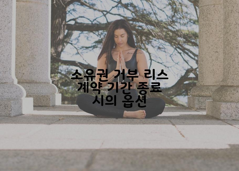 소유권 거부 리스 계약 기간 종료 시의 옵션