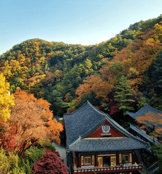 단양 구인사