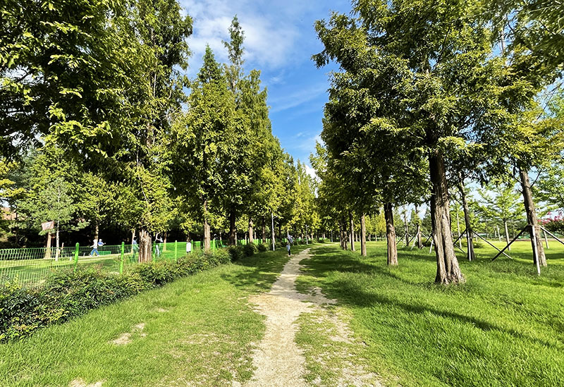 대구 수성구 팔현파크골프장 소개