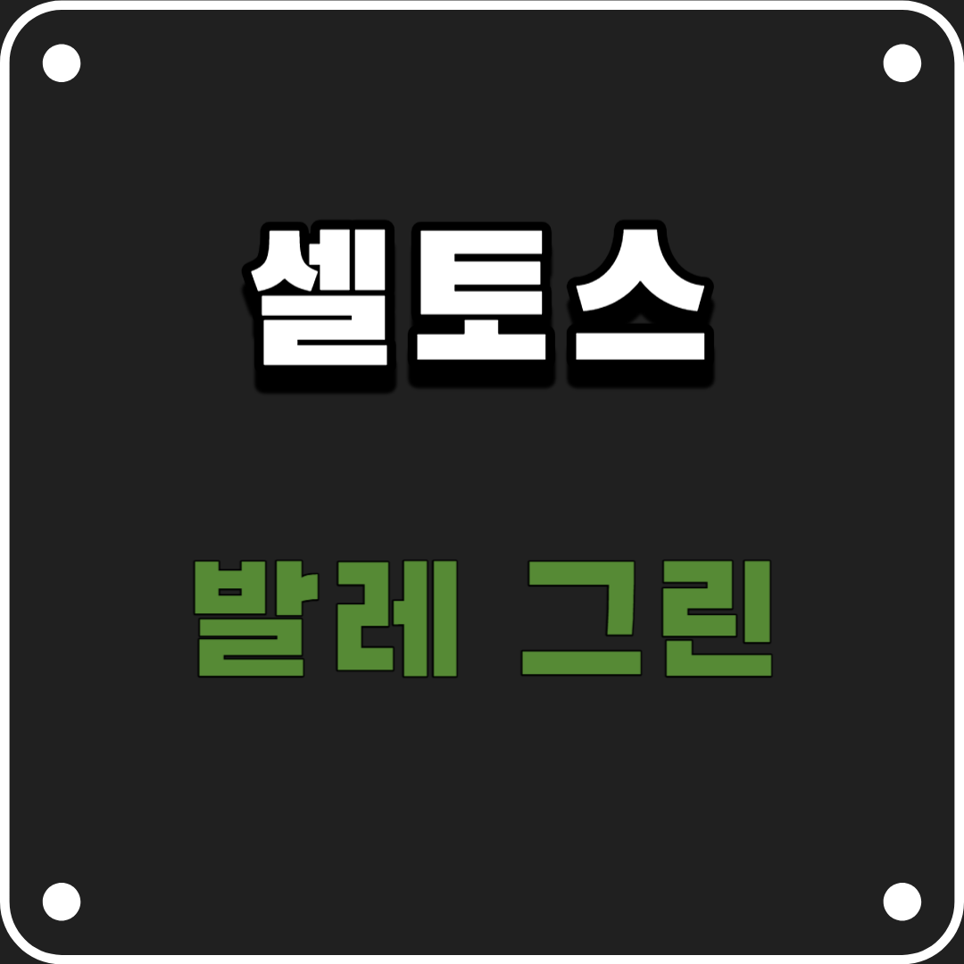 셀토스-발레그린