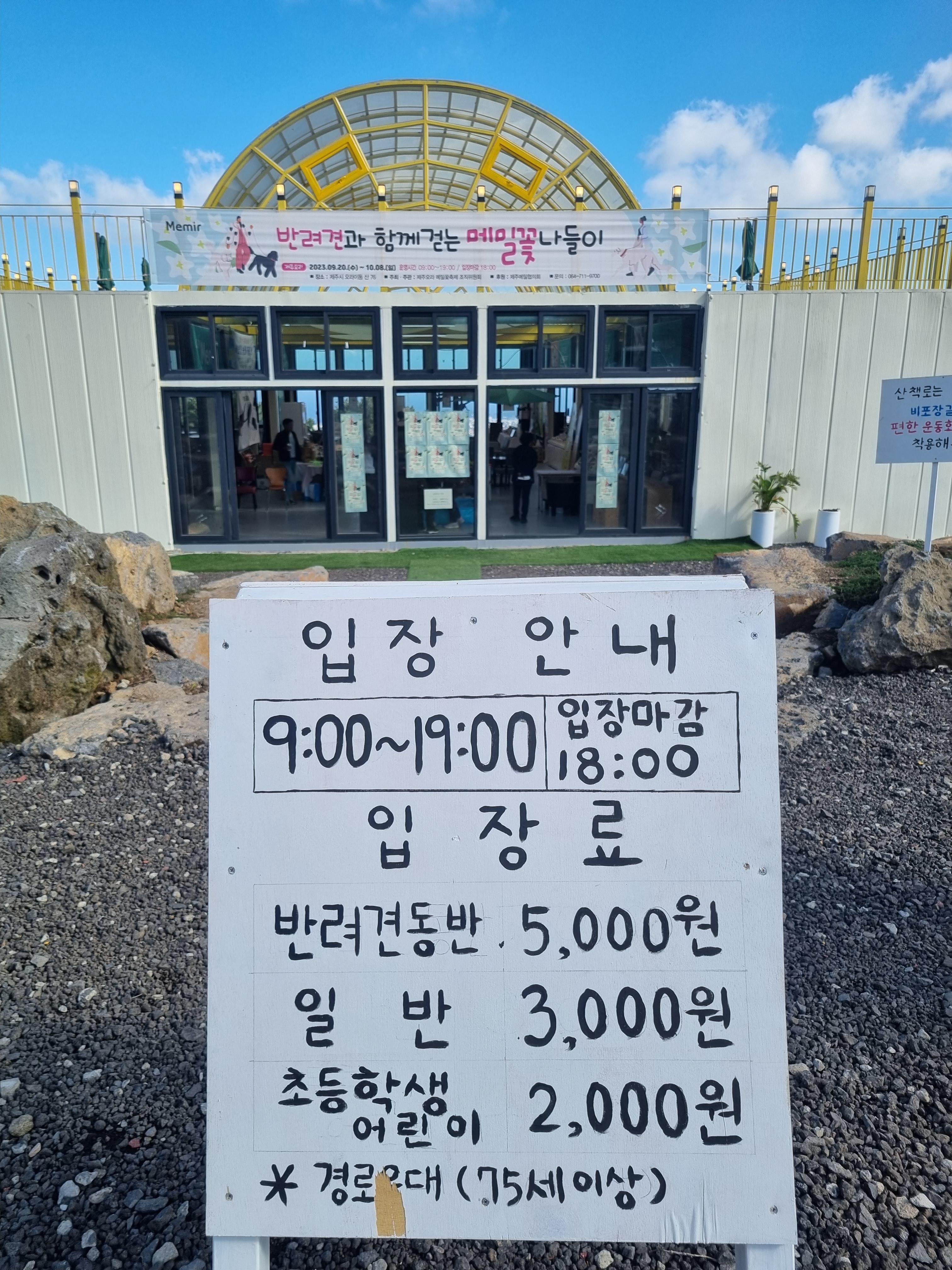 오라동 메밀꽃밭