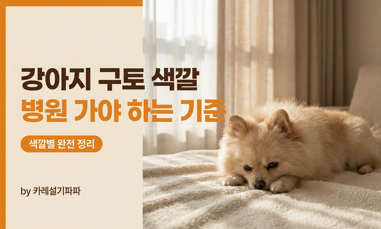 강아지 구토 색깔 가이드