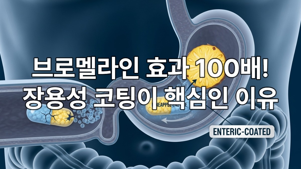 위산에 의해 손상되는 일반 브로멜라인 캡슐과 장까지 안전하게 도달하는 장용성 브로멜라인 캡슐을 보여주는 소화 시스템 해부도.