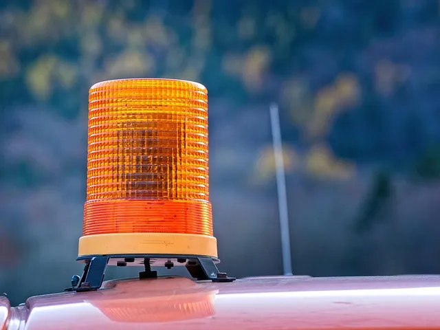 동에 번쩍 서에 번쩍 동해 번쩍 서해 번쩍 헷갈리는 올바른 표현 정리_7