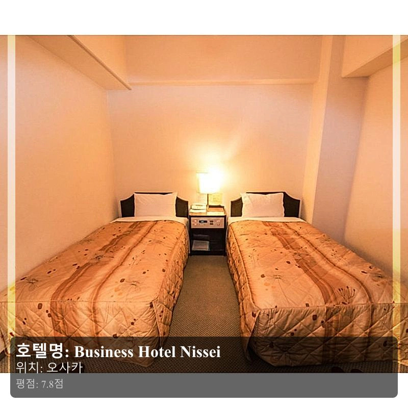 Business Hotel Nissei_5