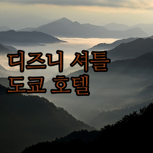 디즈니 셔틀은 기본! 시설까지 완벽한