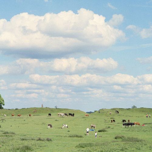 오타니 결장 출산 휴가 아빠 육아