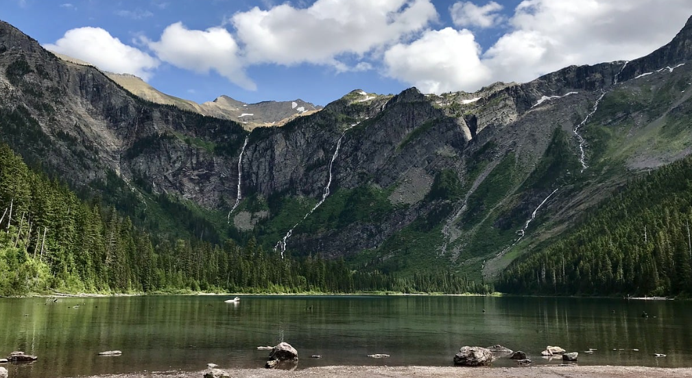 숨겨진 서울 근교 피크닉 명소, 1시간이면 충분해요!