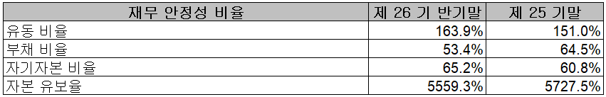 드림텍 - 재무 안정성 비율