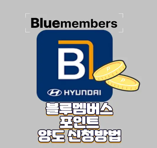 현대-블루멤버스-포인트-양도-신청-기준-및-조회