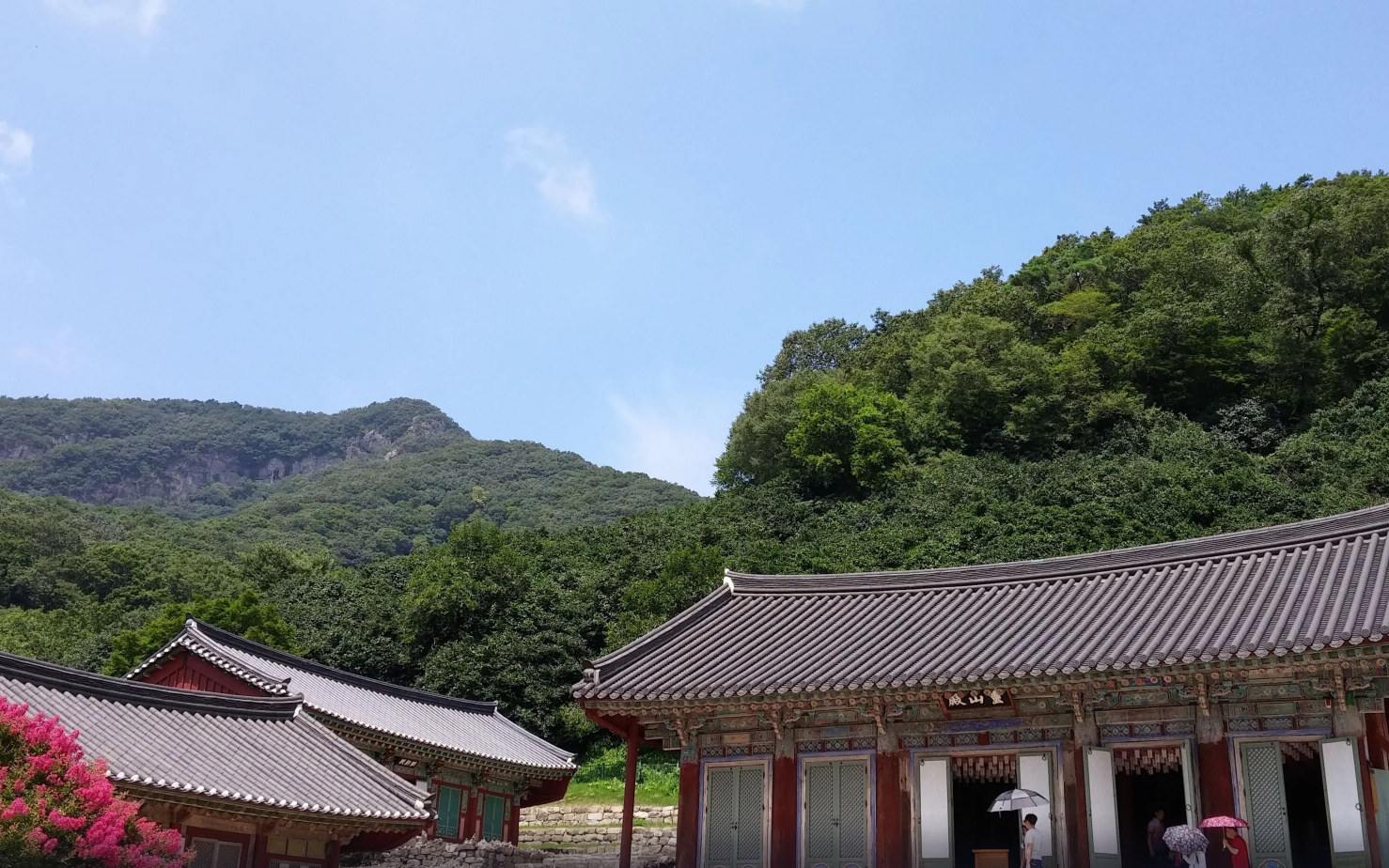 2026 고창 반값여행 완벽 가이드 최대 70% 환급 + 신청방법 코스 총정리