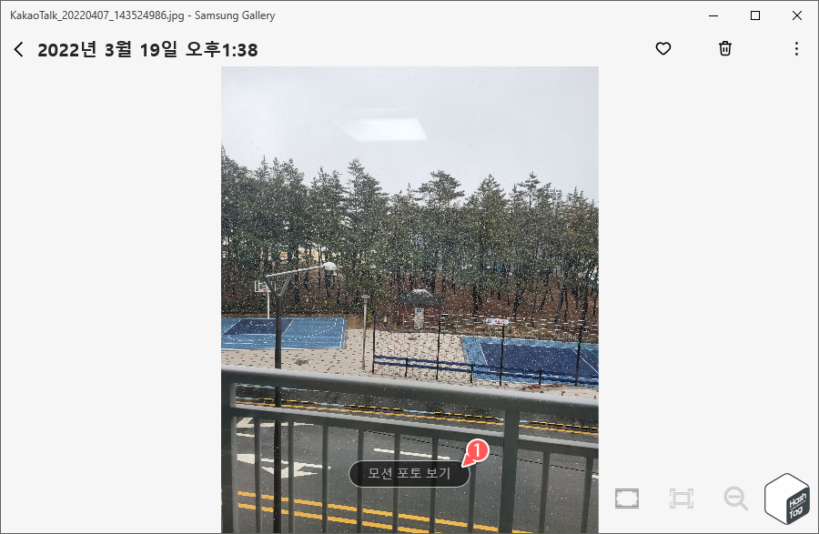 "모션 포토 보기" 옵션 표시