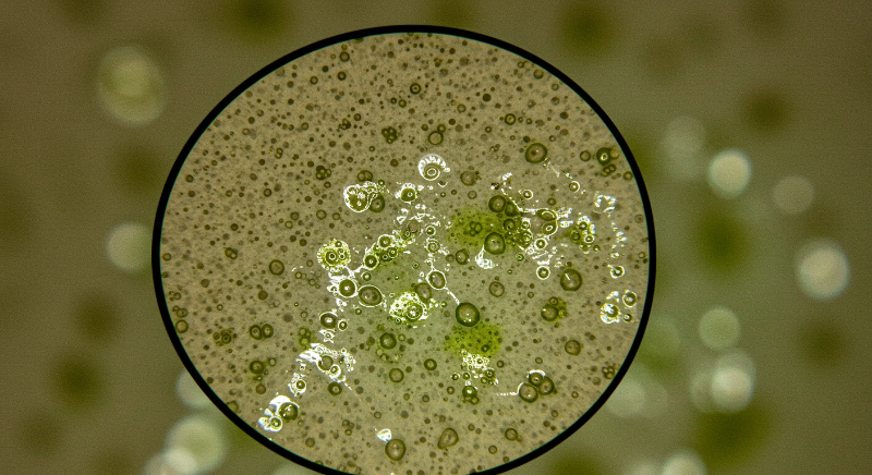 세제나 음식물 찌꺼기가 스며들 수 있습니다.