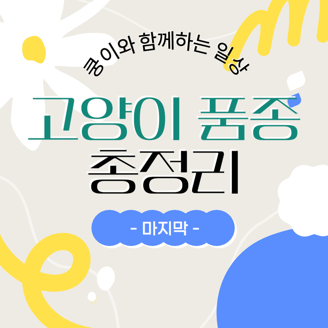 고양이 품종 총정리