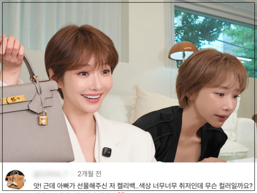 고준희 에르메스 켈리백