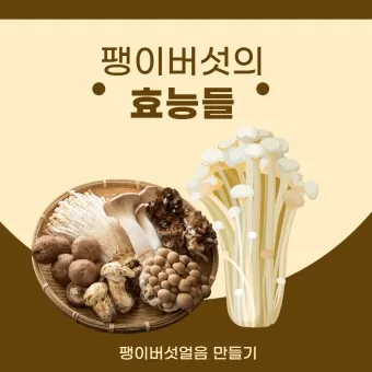 팽이버섯 효능_3