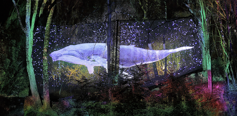 밤하늘 아래 펼쳐지는 환상적인 라이트 쇼