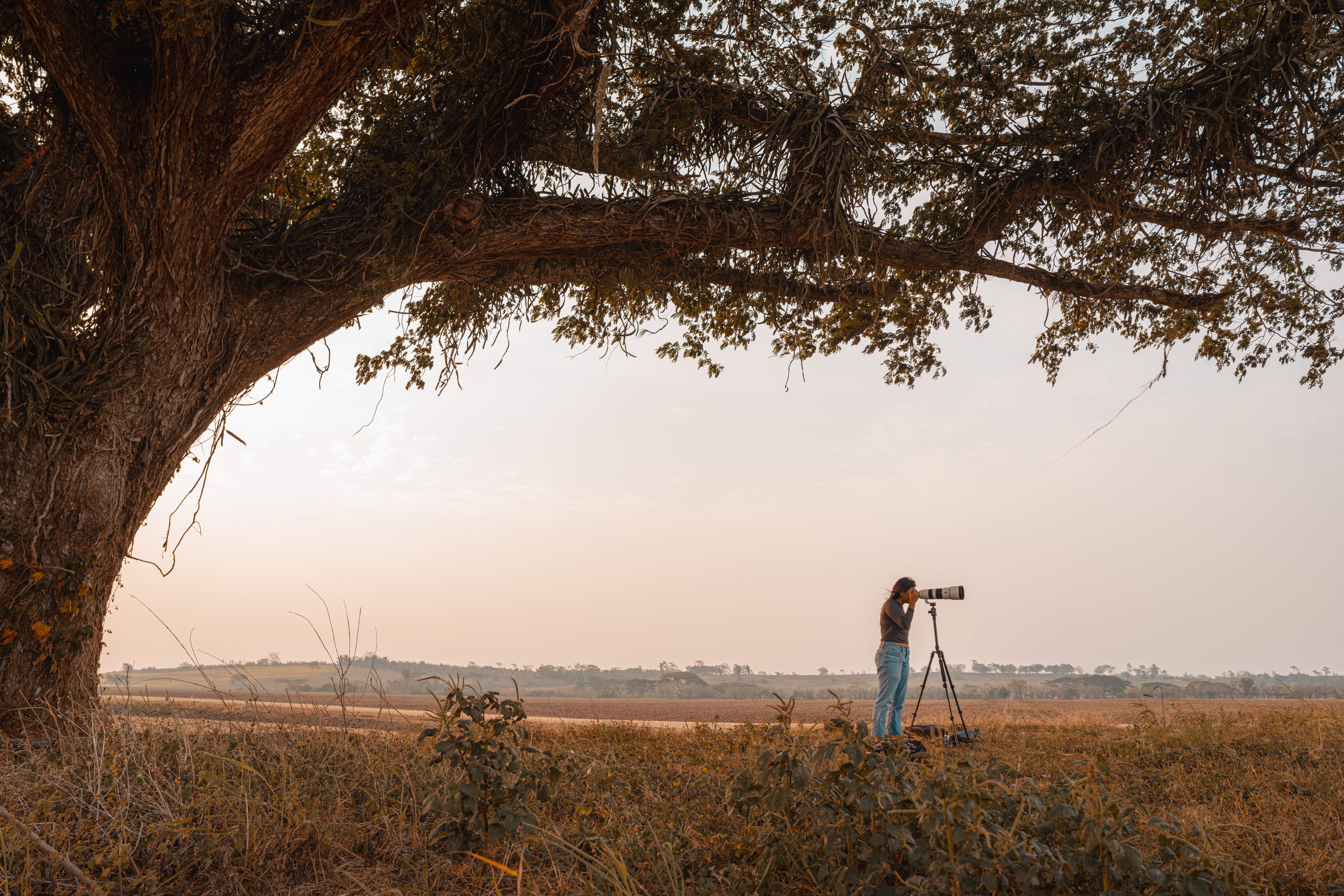 DSLR 풍경 사진 관련