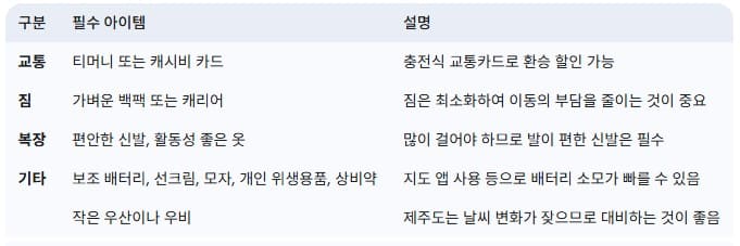 뚜벅이-여행-필수-준비물