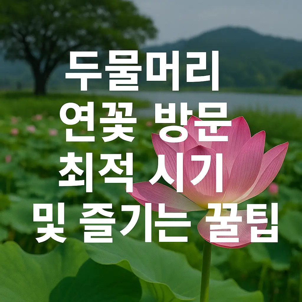 🍃 연잎 먹거리와 특별한 체험