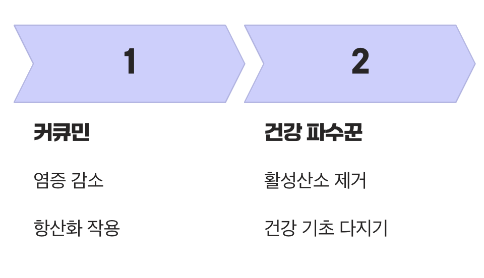 이 황금빛 가루의 진짜 주인공