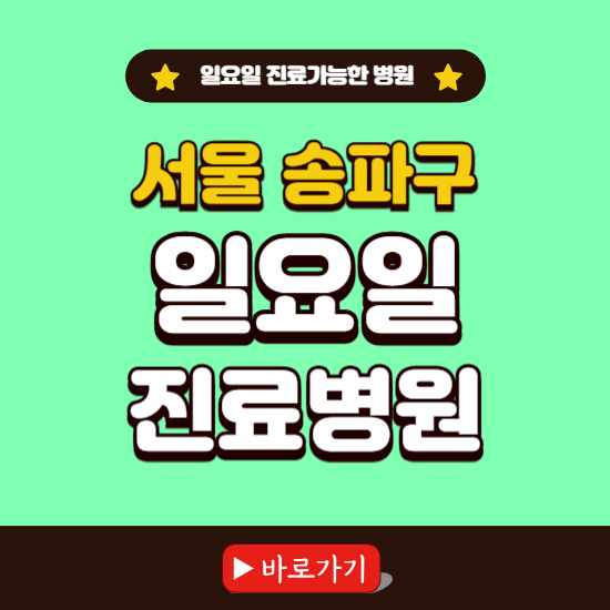 서울 송파구 일요일 진료 가능한 병원 ❘ 주말 문여는 곳 총정리 (소아과, 내과, 안과, 치과, 피부과, 정형외과, 산부인과)