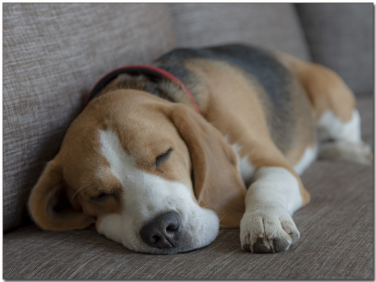 ์ผํ์์ ์๊ณ ์๋ ๋น๊ธ